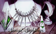 Load image into Gallery viewer, Sunset Sightings December 2020